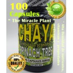 Chaya,Chaya 100 Caps, Mayan miracle plant, Chaya tree, organic spinach tree !!! 